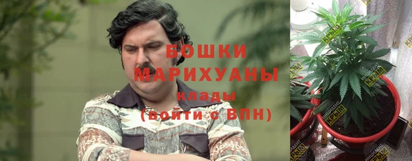 амф Кодинск