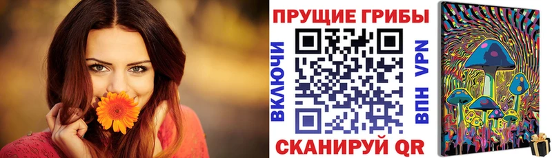 Купить где Пугачёв Псилоцибиновые грибы мухоморы